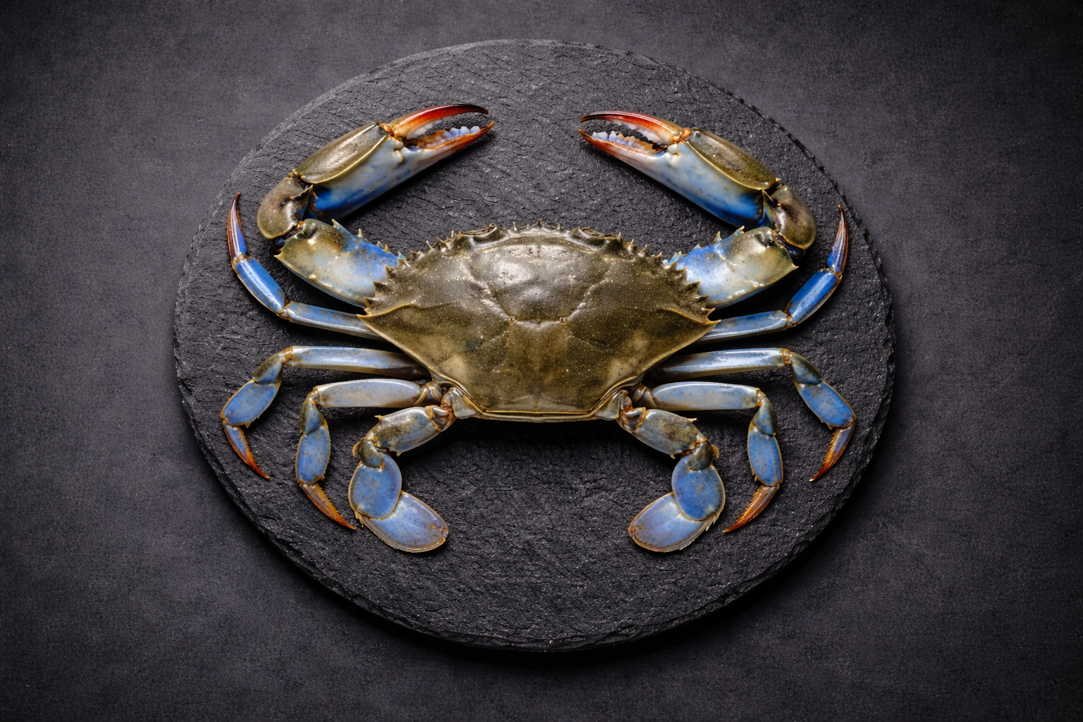 Fresh Blue Crab | Meaty, Delicate, Flavorful & Ocean Fresh