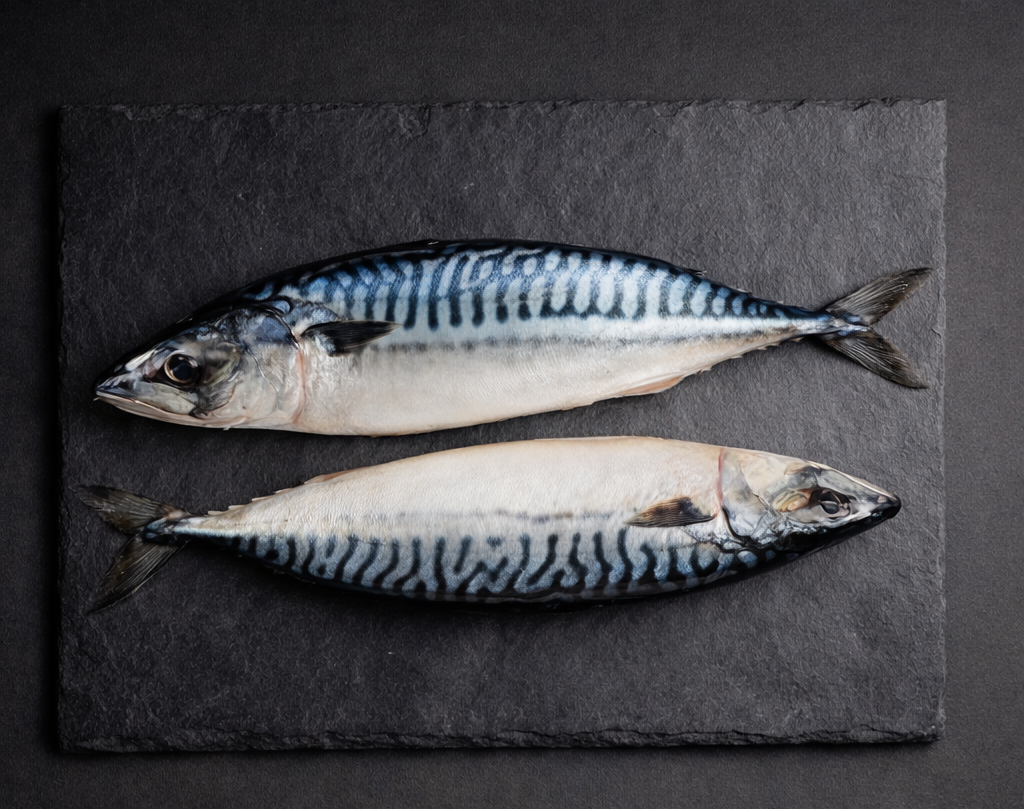 Fresh Mackerel (Bangda) | Rich, Flavorful & Ocean Fresh