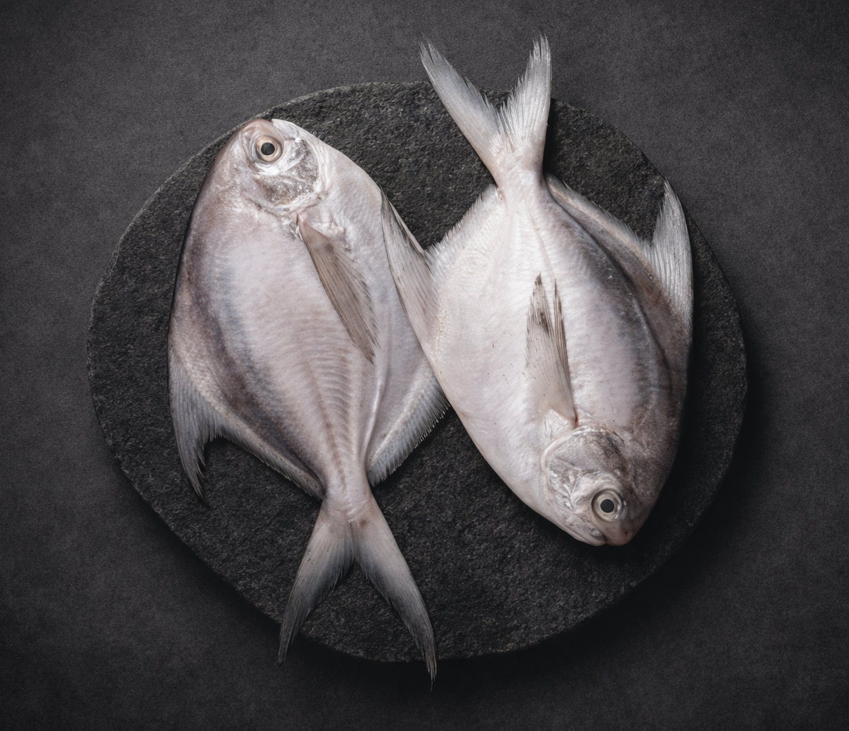 Fresh Pomfret – Large size | Fresh & Premium Whole Fish